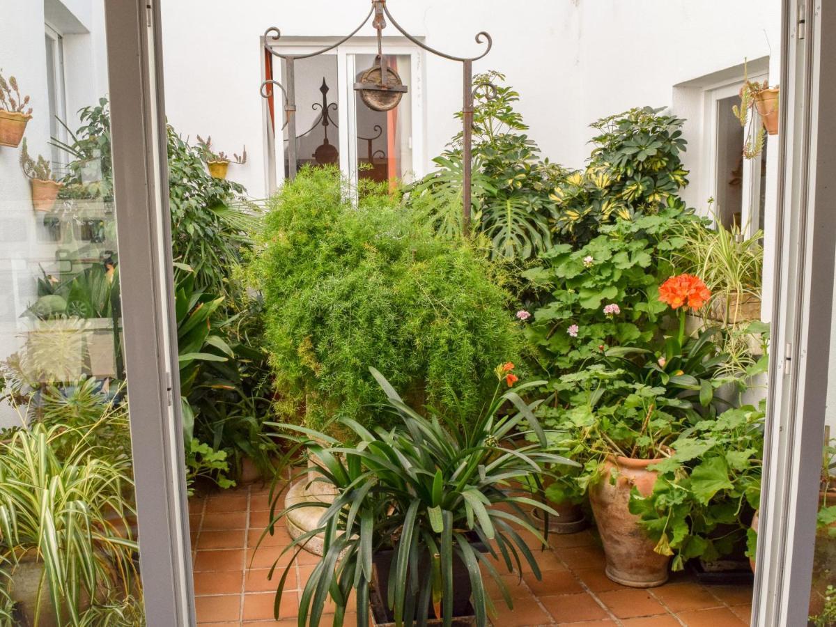 Villa Alexia - Apartment Coral - Puerto Pollensa 外观 照片